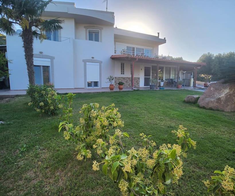 Lux House With Garden Kámpos Exterior foto